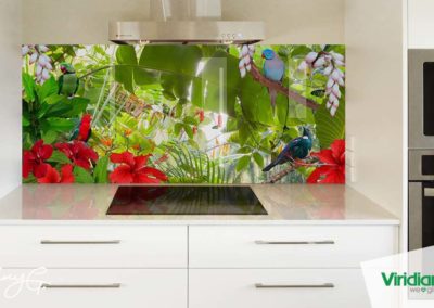 Splashbacks NZ